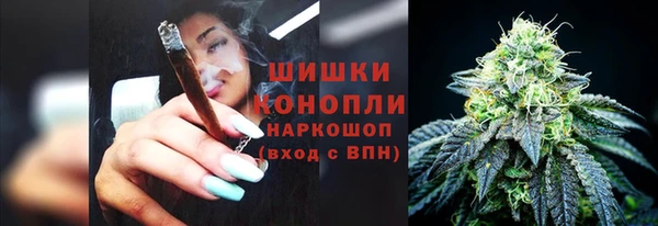 ПСИЛОЦИБИНОВЫЕ ГРИБЫ Аркадак