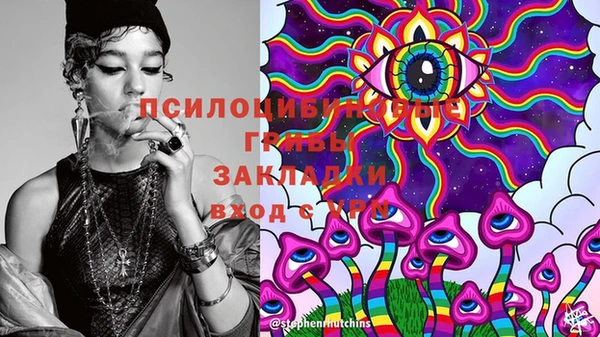 гидропоника Арсеньев