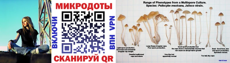 Галлюциногенные грибы GOLDEN TEACHER  Урай 